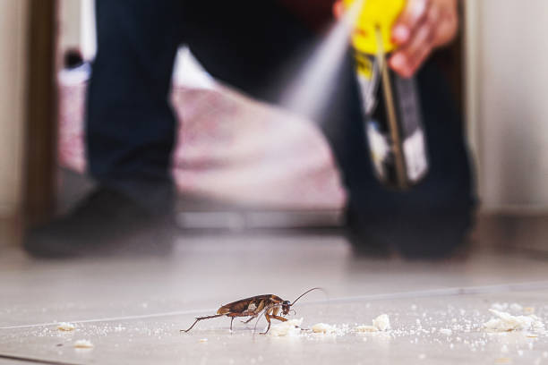 Best Affordable Pest Control Services  in USA